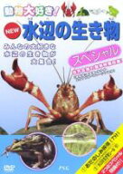 【処分特価・未検品・未清掃】【中古】DVD▼NEW 水辺の生き物 スペシャル