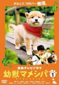 【中古】 連続テレビドラマ版 幼獣マメシバ (3巻セット) [レンタル落ち] [DVD]