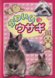 【バーゲンセール】【中古】DVD▼かわいい ウサギ レンタル落ち