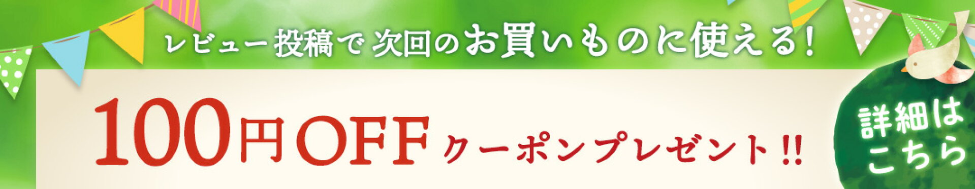 レビュー投稿で100円OFFクーポンプレゼント！