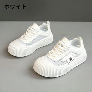 Xj[J[ fB[X EH[LOV[Y _CGbg Xj[J[ bVXj[J[ JWA ꂢ ʋC y ɂ _CGbgXj[J[ JWA ^C i[XV