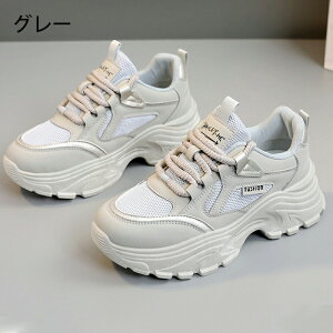 Xj[J[ fB[X EH[LOV[Y _CGbg Xj[J[ bVXj[J[ JWA ꂢ ʋC y ɂ _CGbgXj[J[ JWA ^C i[XV