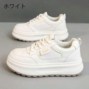 Xj[J[ fB[X EH[LOV[Y _CGbg Xj[J[ JWA ꂢ ʋC y ɂ _CGbgXj[J[ JWA ^C i[XV[Y EH[LO 