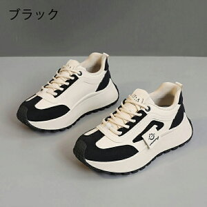 Xj[J[ fB[X EH[LOV[Y _CGbg Xj[J[ JWA ꂢ ʋC y ɂ _CGbgXj[J[ JWA ^C i[XV[Y EH[LO 