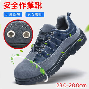 SC ƌC Ȃ Y fB[X ݔh~   ZteB[V[Y SXj[J[ h ϊ ϖ ʋC Ռz c ܐK[h C ₷ 