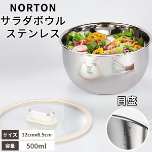 NORTON XeX {E H@ ڐt [ ֗   v {[ p p XeX{E T_{E  Lb` Lb`c[  ۑe Hiۑ t[