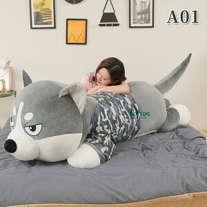 ʂ nXL[   Hc Č v[g 蕨 傫 o^Cf[ a  JCC @NX}X v[g nX^[@˂ ʂ