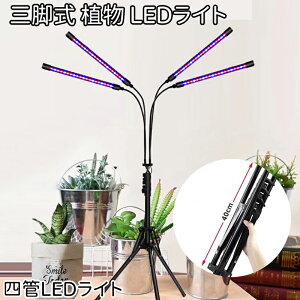 A琬Cg led Nbv X^h tXyNg ApCg ϗtA A ͔|  Cg 360xA[ /^C}[ A͔|pled 琬Cg z 4wbht 