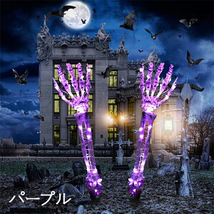 nEB  [ 2_Zbg fBXvC Cg  DIY 뉀 LEDCg  O Ղ wZ w  u halloween led Cg  nEBObY  dr q