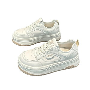 y48 Ԍ N[|p 200 ~ OFFz Xj[J[ fB[X [Jbg   JWA w {v H ҂ݏグ ~ ؍ 5cm ꂢ gAbv C  אg Xj[