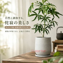 楽天市場】天然石（植木鉢・プランター｜ガーデニング・農業）：花 