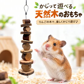 小動物 鳥 かじり木 果実の木 リンゴの木 林檎 りんご 吊るす 天然かじり木 ウサギ チンチラ デグー ラット インコ オウム セット 齧る バードトイ おもちゃ