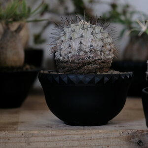 yzALTERPLANTZ-I^[vc@IWi|bg@ubN@ALT-130LOWiAKxE򍪐AER[fbNXEAj