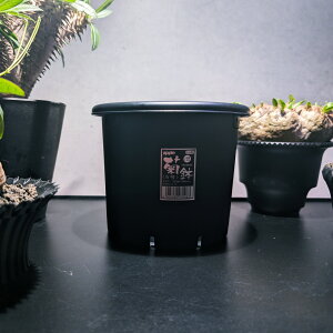 yzAbvEFA[@e 5 ubNiAKxE򍪐AER[fbNXEAEϗtAEϗtAEpLvXEǗEj