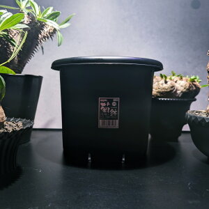 yzAbvEFA[@e 6 ubNiAKxE򍪐AER[fbNXEAEϗtAEϗtAEpLvXEǗEj