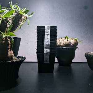 yz{|@vXe 90^ 10g ubNiAKxE򍪐AER[fbNXEAEϗtAEϗtAEpLvXE`^m^EǗEj