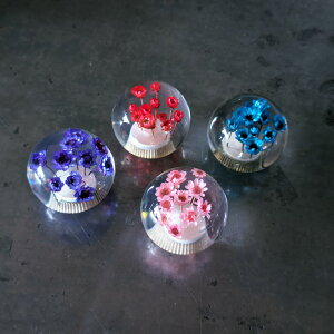 yVtgmuz12mm^Cvی^ԃmu@ip[vEbhEu[EsNENX^Et[EԁEyoEygEfRgj