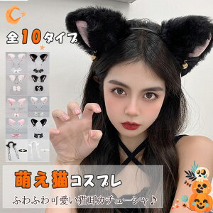 nEB RXv LJ`[V `[J[ 2_Zbg t {t fB[X ̎q P   Vg [^ SX Ch   sN  NX}X 