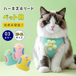 n[lX ybgp  Ȃ [ht _ubN bVf ʋC Ȃ ^p  ԕt U Oo ʉ@ ЊQ