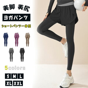 Kpc KMX ̌^ fB[X  tBbglXEFA g[jOEFA GNTTCYEFA KEFA X|[cEFA Lk  z n Vv X|[eB[ 