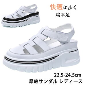 T_ fB[X XgbvT_ JWA  їp ʊw ʋ ₷ ʋC \tg\[ O fB[X pvX fB[X ₷ T_ 