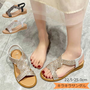 T_ fB[X LL S[h Vo[  l r CXg[ XgbvT_ tbg gO EFbW\[ OfBG[^[ 񂾂 fB[X ؂