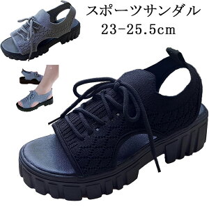 T_ X|[c  5CM  Lk jbg R K tBbg r r fB[X JWAV[Y fB[X 5cm Od ₷ lԍHw [t@[ y ~ 
