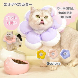 GUxXJ[ Lp pEFA ybgpi lR  p㏝ی rߖh~ ~h~  L ybg GUxX Jt  ӂӂ lC t@bV  y _炩 