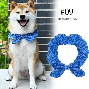 ybgObY ybgpi  p ͗l ANZT[ XJ[t { a lbN o_i Lp ^ ^ C~ 킢  Lp