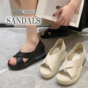 T_ C  nCq[ i[XV[Y  ƕt ʕT_ EFbW\[ ~[T_ I[vgD T_ T{ ~[ r ₷ ʋ ItBX V