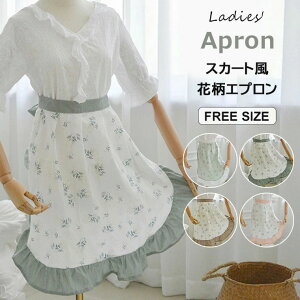 Dԕiȕ͋CɁIS4F ԕ  Gv XJ[g Lb`G JtFGv O|Gv |Gv ԉ 