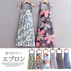 đN₩ȈۂɁIIׂ10p^[ JtF Gv Jt ԕ n XgCv fB[X ۈm h ƒp dp ߃xg |Pbg