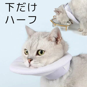 S-XLTCY SXgXȂ n[tGUxXJ[  \tg _炩 y y pPA p ی rߖh~ ~h~  pEFA В ^ n[t^Cv h