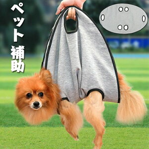  s⏕ xg ybgp ̉ V Q nr _炩 LpxXg ׌ Up oRp ^ ^