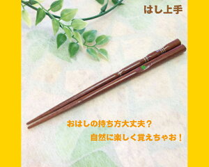 yꔢz q ̎KɁO_x  y͂蔢 qpz [16.5cm/18cm] ///g[jO/K//O/LbY//w//