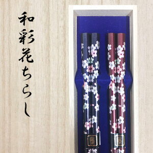 v[g  ˔ vw VZbg Ԃ炵 //O/j/LO/yA/Zbg//⍥/Mtg/蕨/j/җj yA JbvyyMt_ j