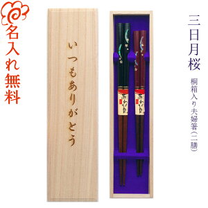 yꖳzj vw  wOxъL ˔ 23cmE21cm//j/蕨/LO/yA/Zbg/e//⍥/Mtg/v[g/vw/j/