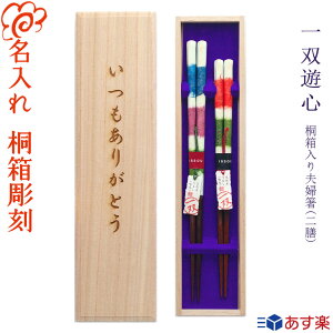 yjz˔ vw   [o VS] ˔ vw VZbg n23cmEԌn21cm ///O//j/yA/Zbg/Mtg/v[g/蕨/Ԃ J