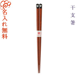 y zx S24/   Pi V LOi/Mtg/v[g/蕨/ꖳ/