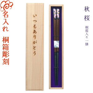 yꔢz[VH] Vp˔ //O/oYj/a/LO/җj/j/Mtg/v[g/蕨/̓/̓/hV̓ yA Jbv