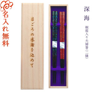 y z˔ vw VZbg [C n23cmEԌn23cm/j/   vw yA V LOi/Mtg/v[g/蕨/ꖳ ˔/