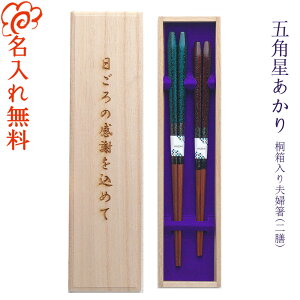 y z[܊p] ˔ vw VZbg 23cmE21cm/ j   vw yA V LOi/؍/⍥//Mtg/v[g/蕨/ꖳ ˔
