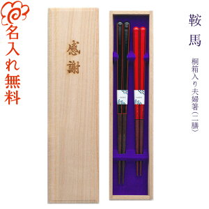 y z˔ vw VZbg Ɣn/   vw yA V LOi/Mtg/v[g/蕨/ꖳ ˔/