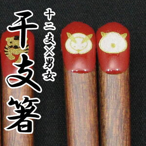 yꖳzꔢ wxx S24 //oYj//H/j/LO/LOi/e/yA/Zbg//⍥/Mtg/v[g/Ԃ/蕨/j/hV̓/