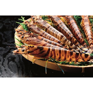 yzylzyΕzy^ԊCVi230gjzy1216E͂F1120`1225zΕ Ε Mtg  R[q[  W[X XC[c f? 