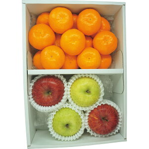 【送料無料】【値引】【御歳暮】【有田みかん・サンふじりんご・王林りんご】【ご注文は12月12日迄(出荷開始:12月3日〜12月25日頃迄)御歳暮 歳暮 送料無料 コーヒー 早割 ジュース スイーツ