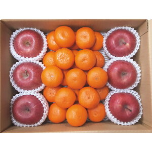 【送料無料】【3%OFF】【値引】【御歳暮】【青森県産りんご・和歌山県産、愛媛県産みかんセット】【ご注文は11月30日迄(出荷開始:12月3日〜12月25日頃迄)御歳暮 歳暮 送料無料 コーヒー 早割