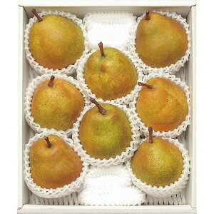 yzylzyΕzy݉̎R`YEtXi3D2kgjzy1210(o׊Jn:113`1227)Ε Ε  R[q[  W[X XC[c 