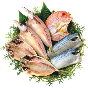 yzylzyΕzy킶܂̒Zbgi47jzy120zΕ Ε  R[q[  W[X XC[c f? ߂ n  Y