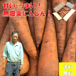  _ ɂ񂶂 4kg Â lQW[X yt lQ L@엿  ϕ J[ T_ Mtg 蕨